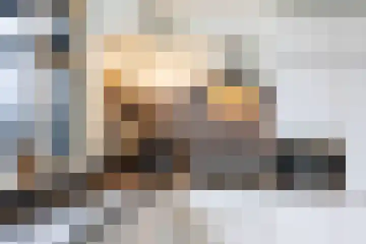 Reigersweg 3 Apeldoorn thumbnail 13