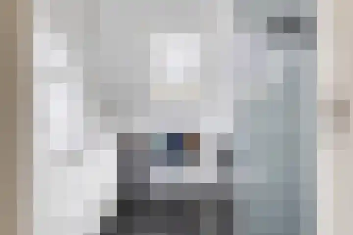 Reigersweg 3 Apeldoorn thumbnail 21