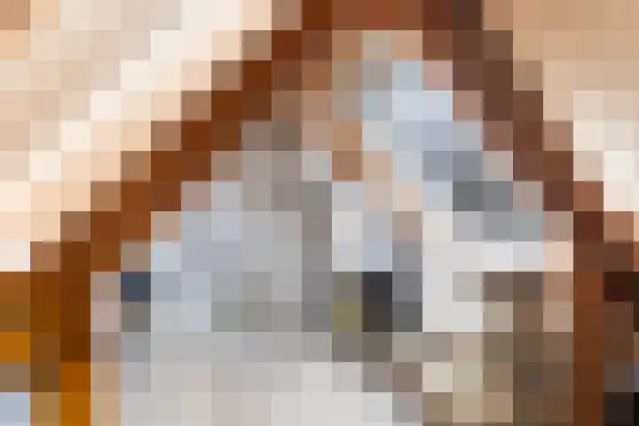 Reigersweg 3 Apeldoorn thumbnail 24