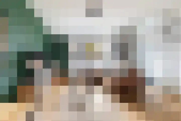 Reigersweg 3 Apeldoorn thumbnail 4