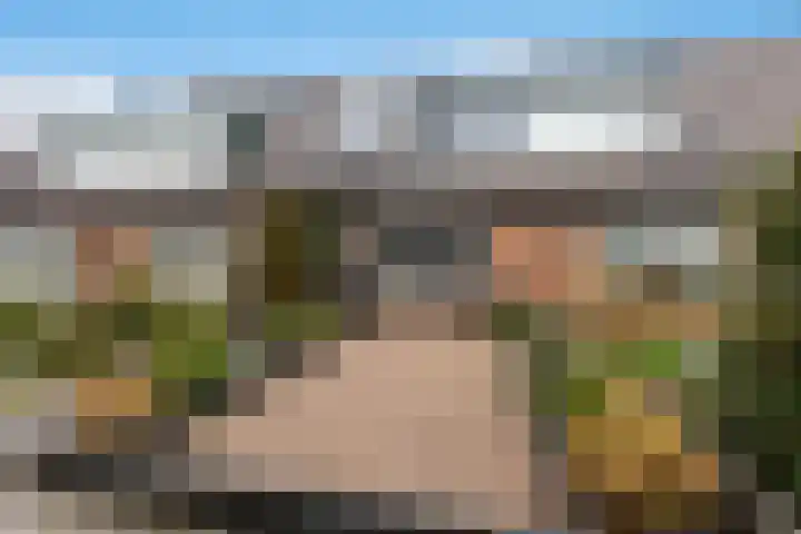 Reigersweg 3 Apeldoorn thumbnail 41