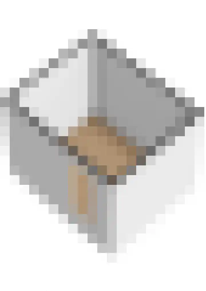 Reigersweg 3 Apeldoorn thumbnail 53
