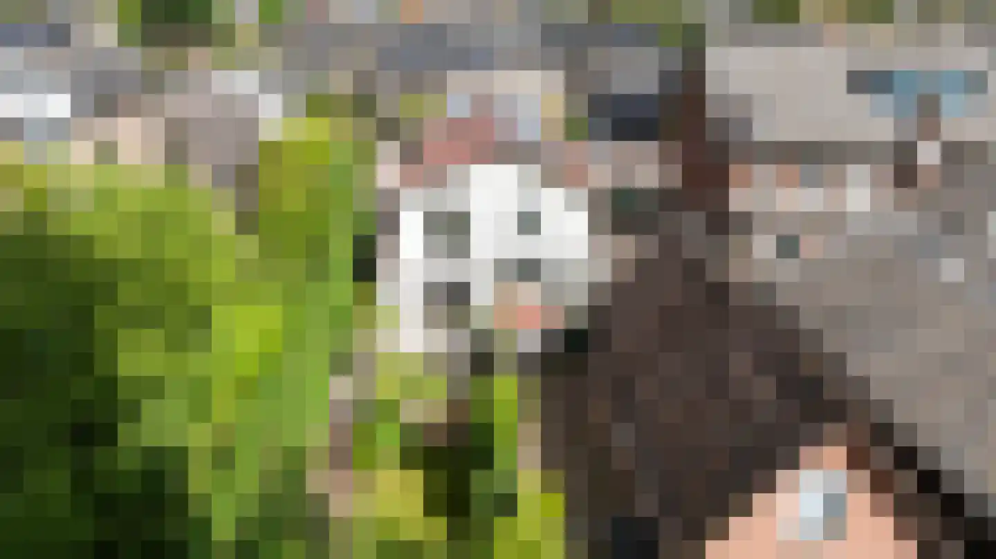 Reigersweg 34 Apeldoorn thumbnail 25