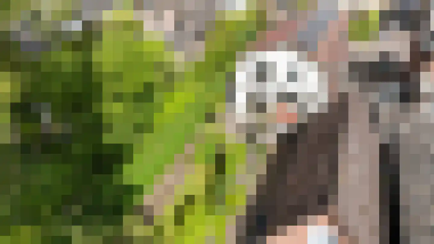 Reigersweg 34 Apeldoorn thumbnail 26