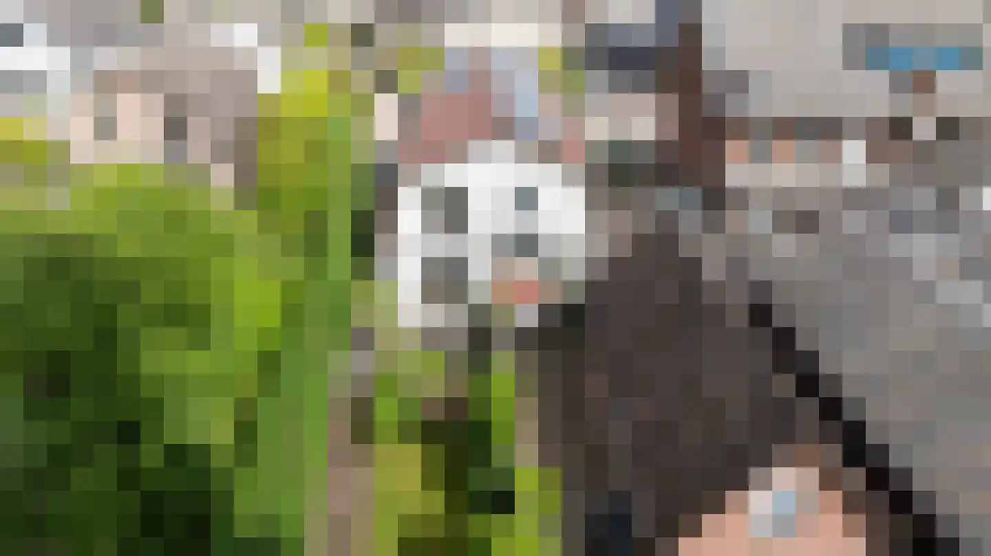 Reigersweg 34 Apeldoorn thumbnail 27