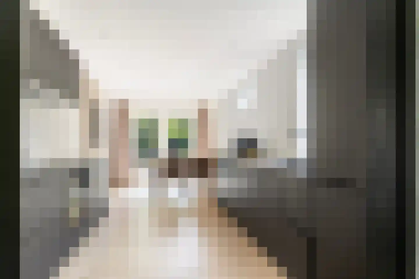 Reigersweg 34 Apeldoorn thumbnail 8