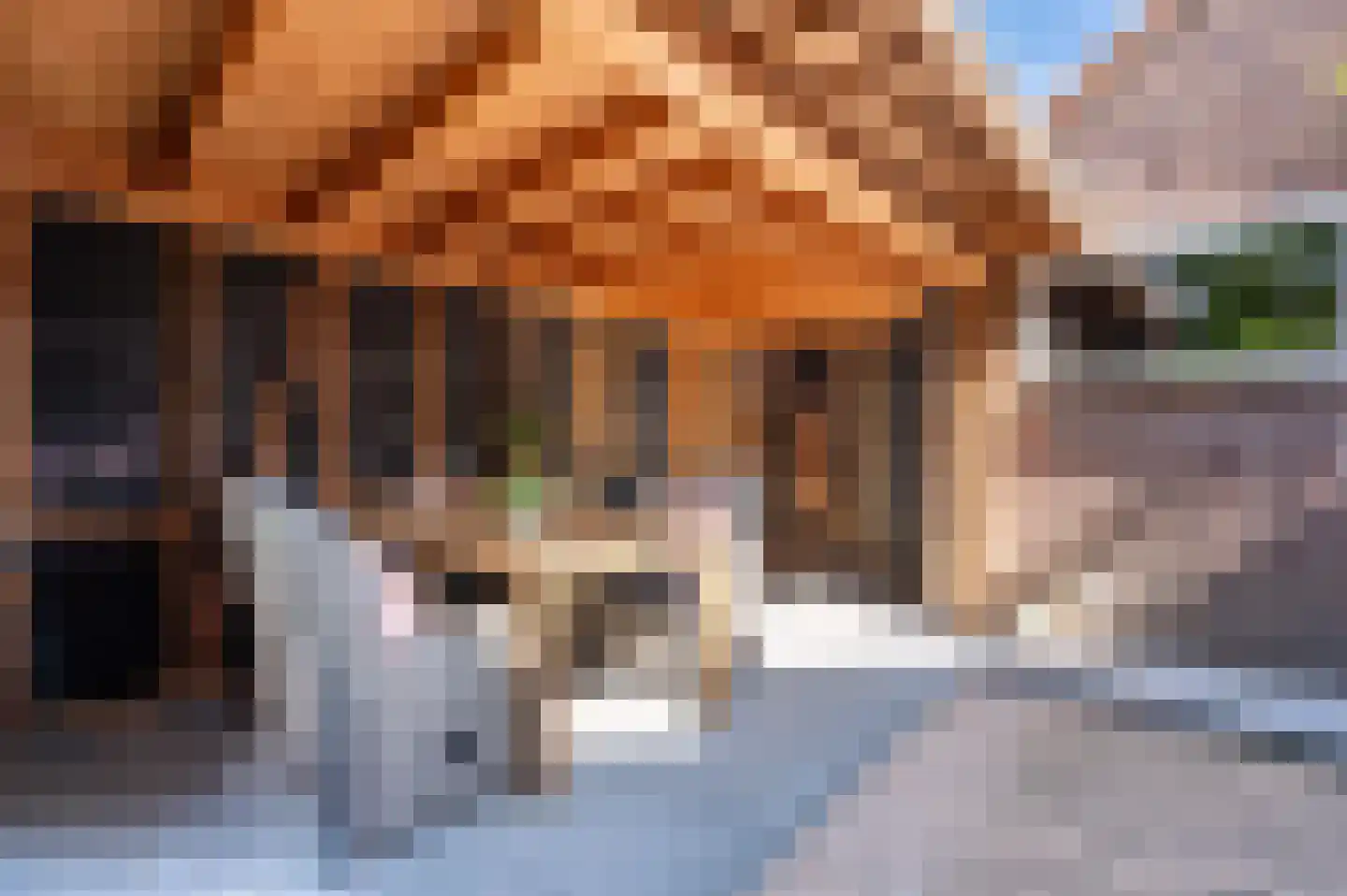 Reigersweg 39 Apeldoorn thumbnail 26