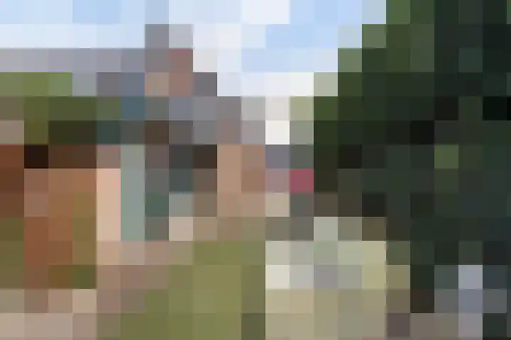 Reigersweg 50 2 Apeldoorn thumbnail 27