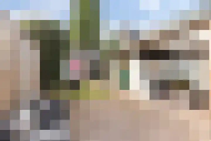 Reigersweg 50 2 Apeldoorn thumbnail 29
