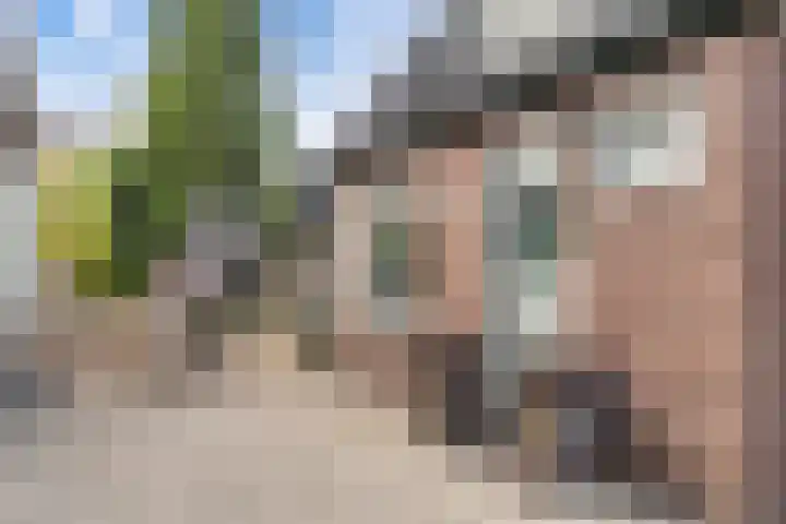 Reigersweg 50 2 Apeldoorn thumbnail 33