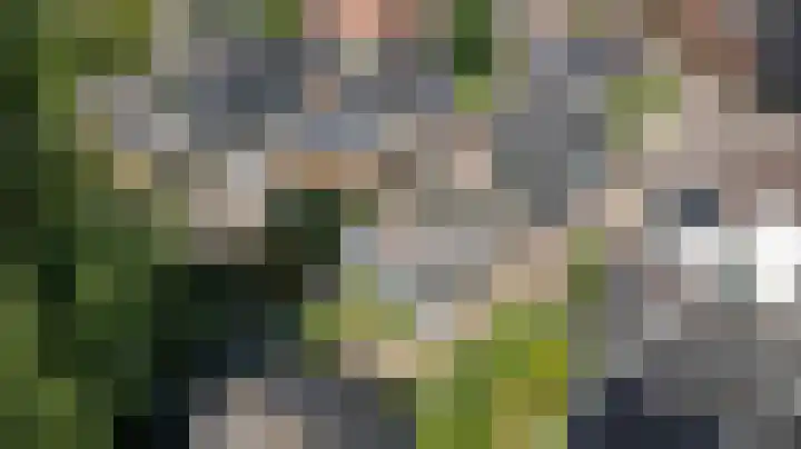 Reigersweg 50 2 Apeldoorn thumbnail 34