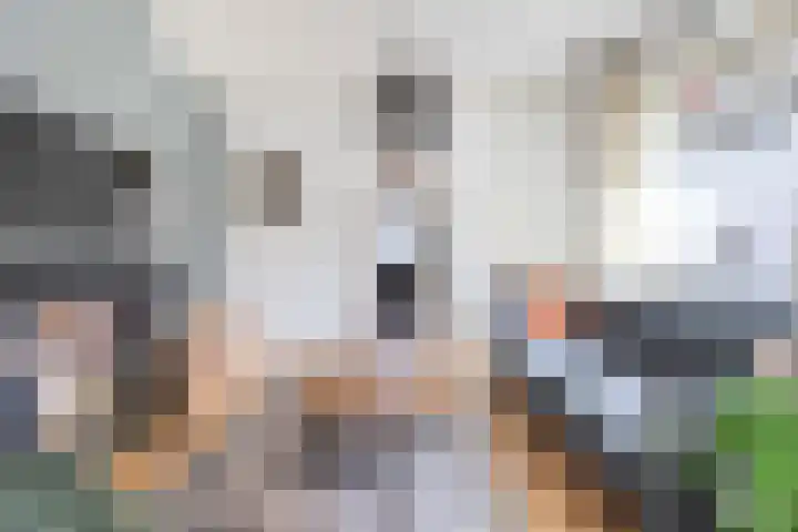 Reigersweg 50 2 Apeldoorn thumbnail 8