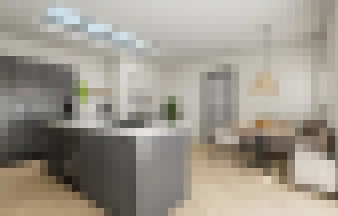 Reigersweg 52 A Apeldoorn thumbnail 14