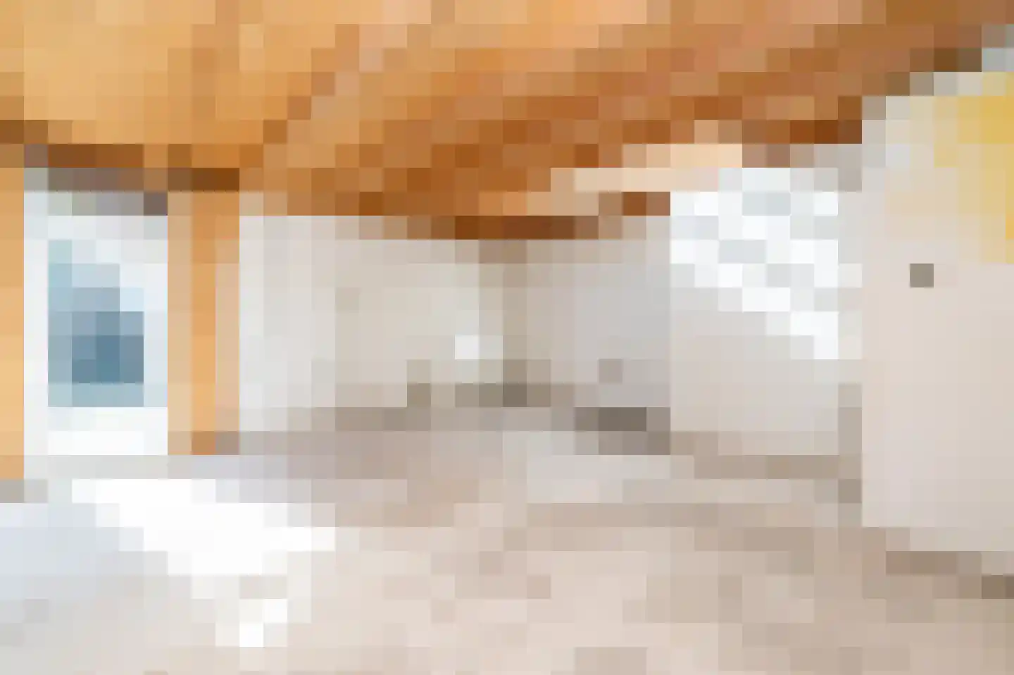 Reigersweg 52 A Apeldoorn thumbnail 15
