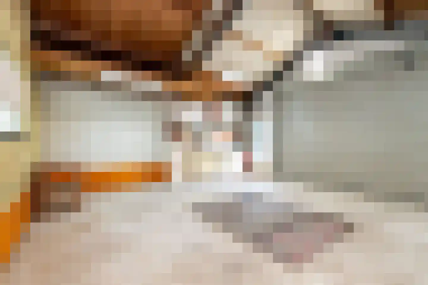Reigersweg 52 A Apeldoorn thumbnail 35