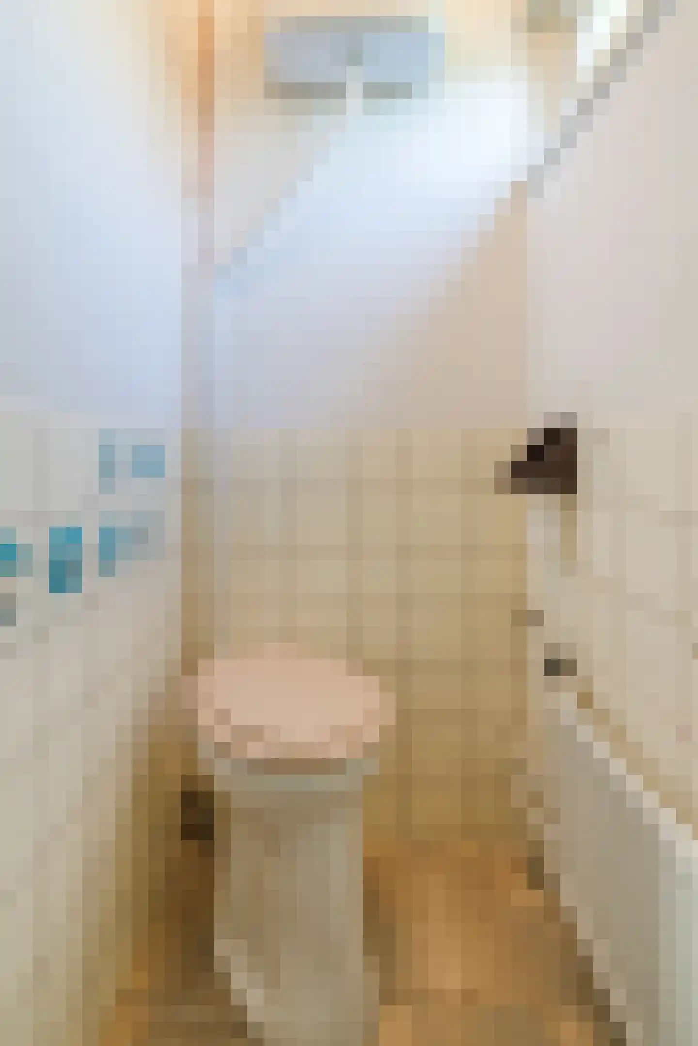 Reigersweg 8 Wapenveld thumbnail 14