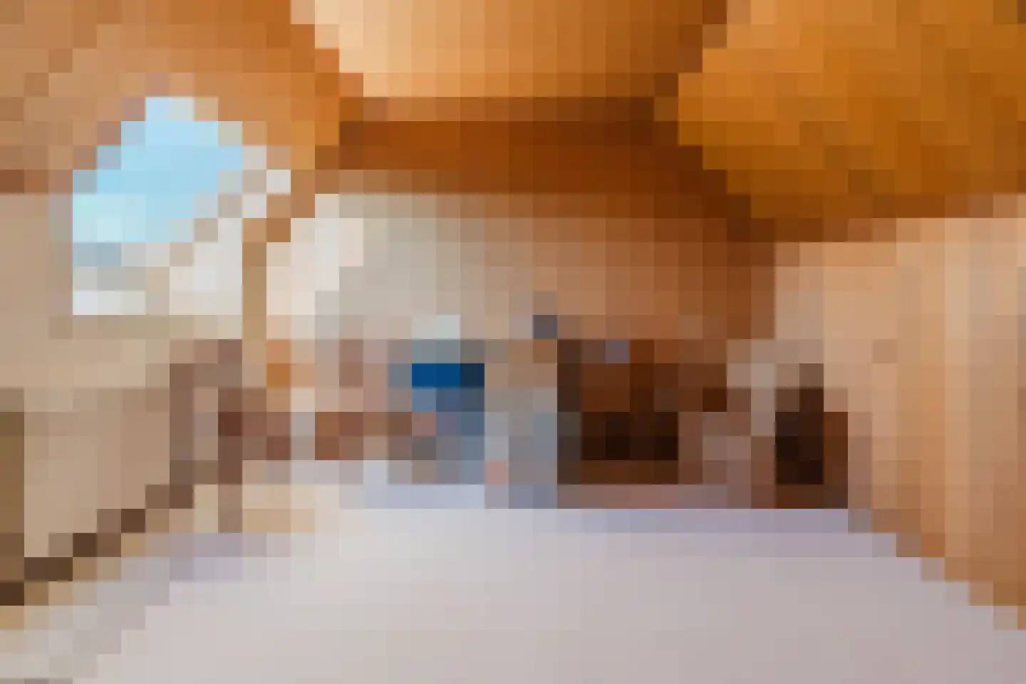 Reigersweg 8 Wapenveld thumbnail 19