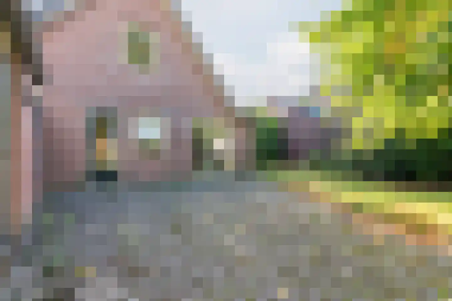 Reigersweg 8 Wapenveld thumbnail 23