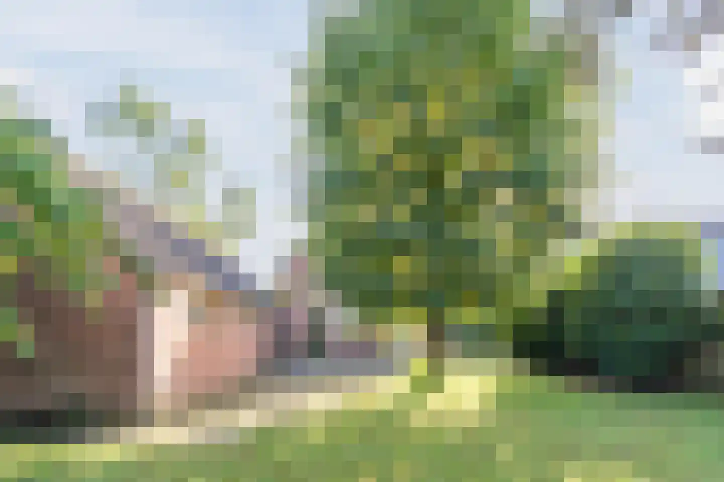 Reigersweg 8 Wapenveld thumbnail 24