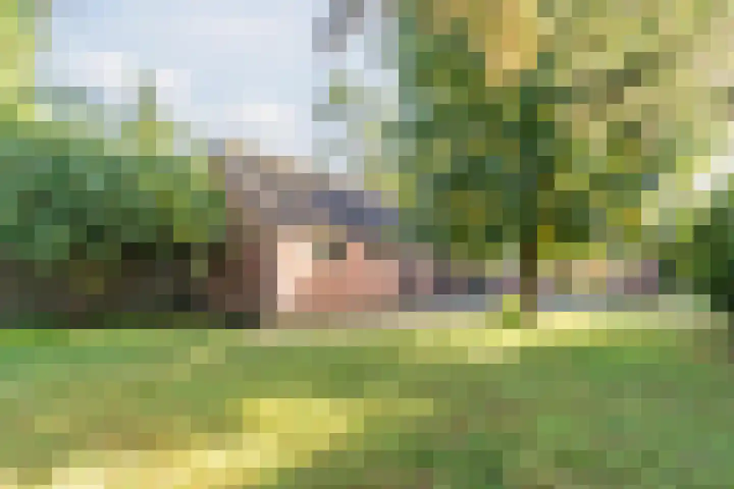 Reigersweg 8 Wapenveld thumbnail 25