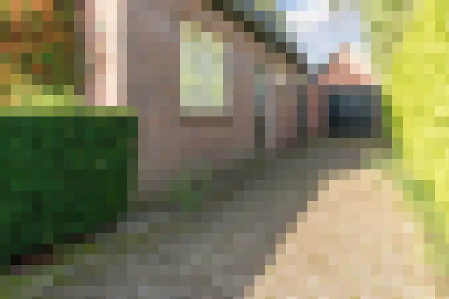 Reigersweg 8 Wapenveld thumbnail 26