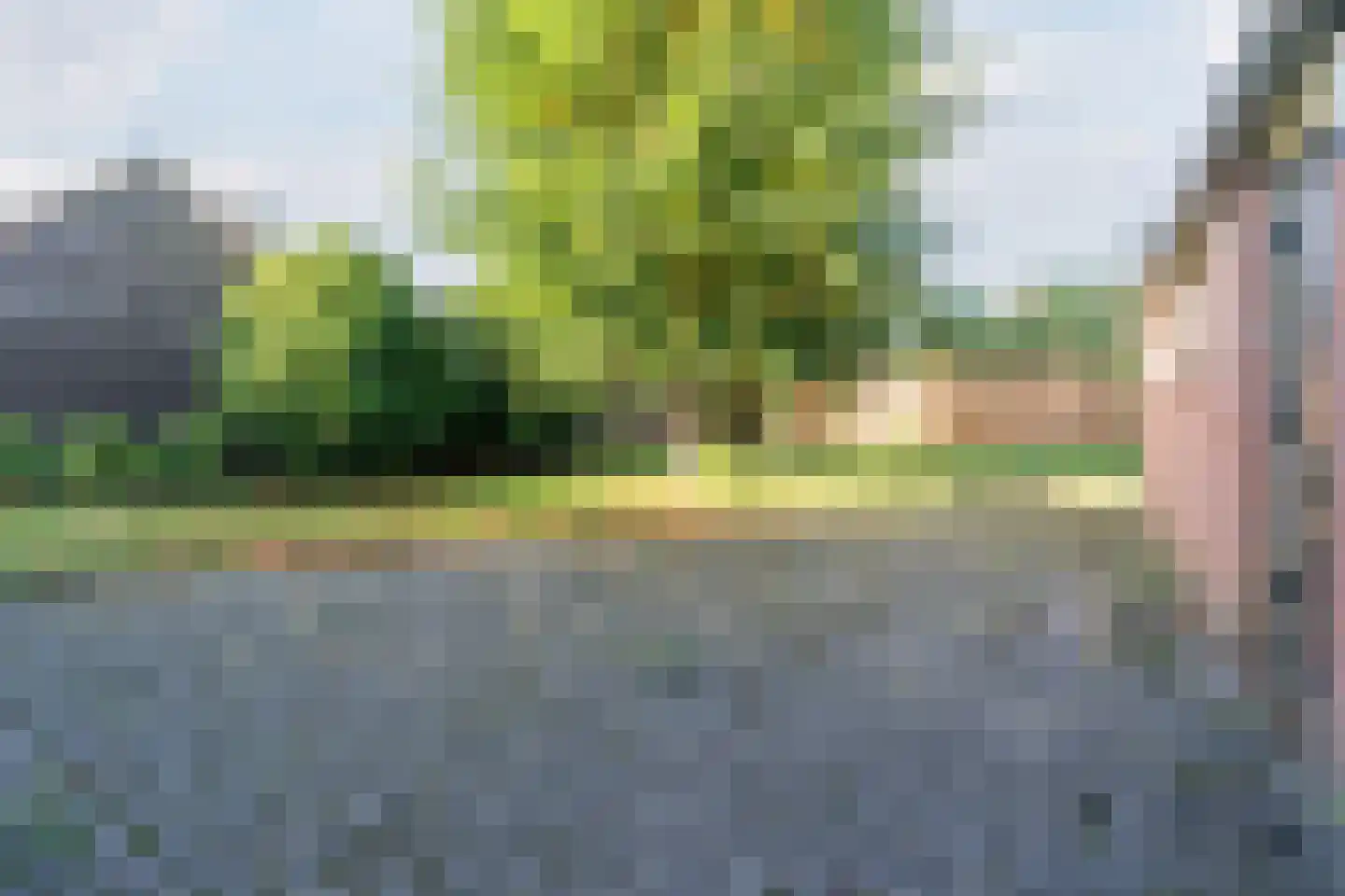 Reigersweg 8 Wapenveld foto 3