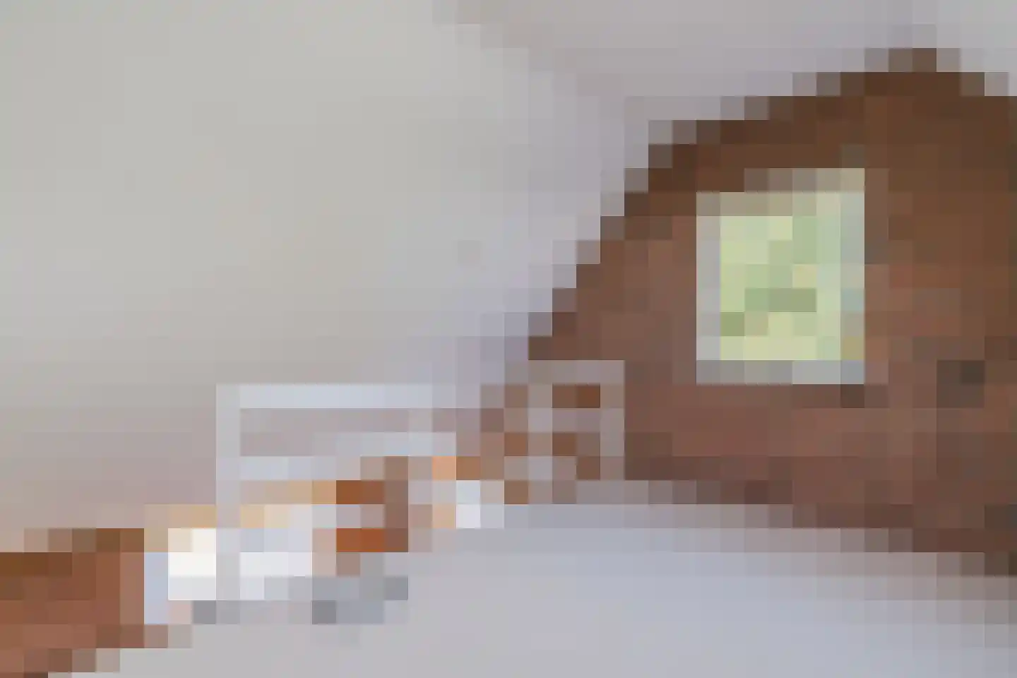 Reigersweg 8 Wapenveld thumbnail 6