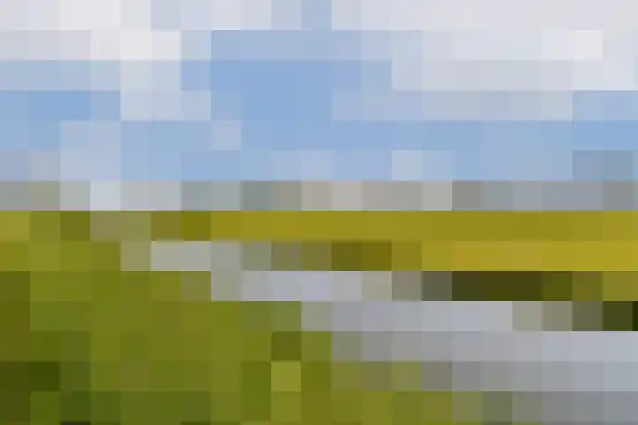 Reigersweide 105 Weesp thumbnail 19