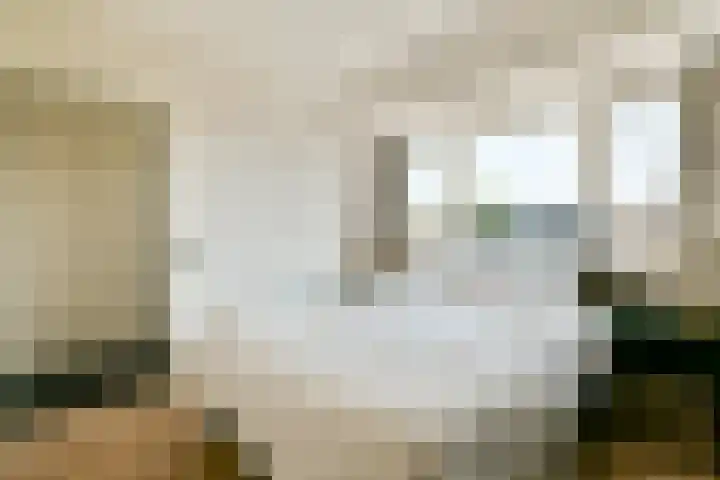 Reigersweide 105 Weesp thumbnail 9