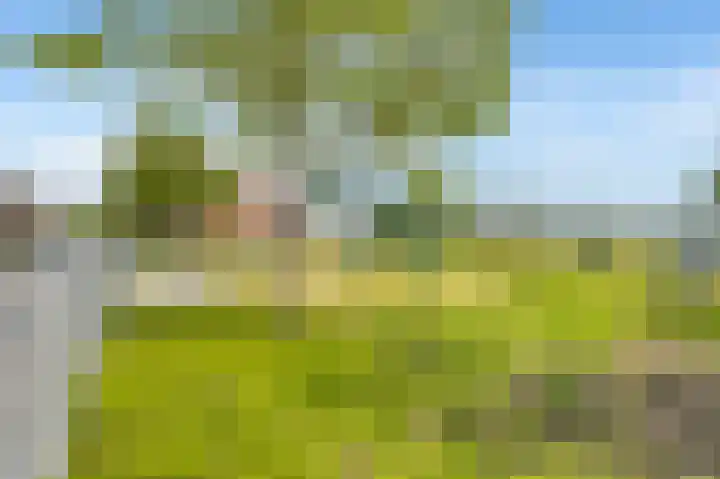 Reigersweide 117 Weesp thumbnail 13