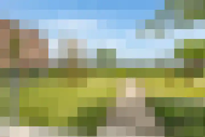 Reigersweide 117 Weesp thumbnail 15