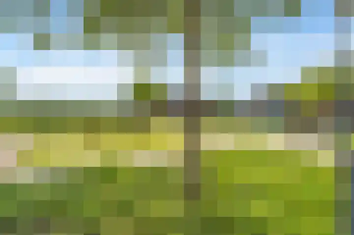 Reigersweide 117 Weesp thumbnail 16