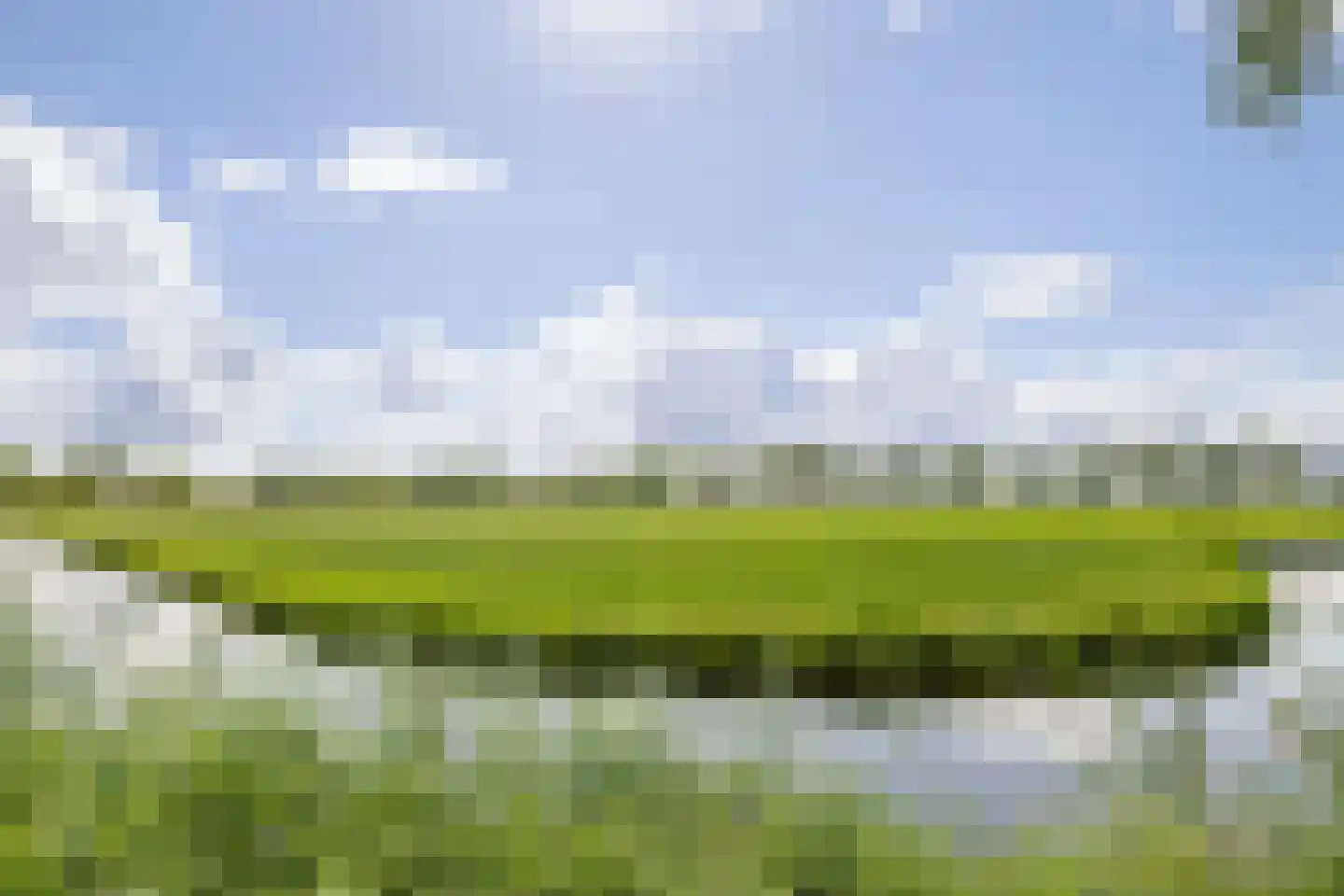 Reigersweide 119 Weesp thumbnail 20