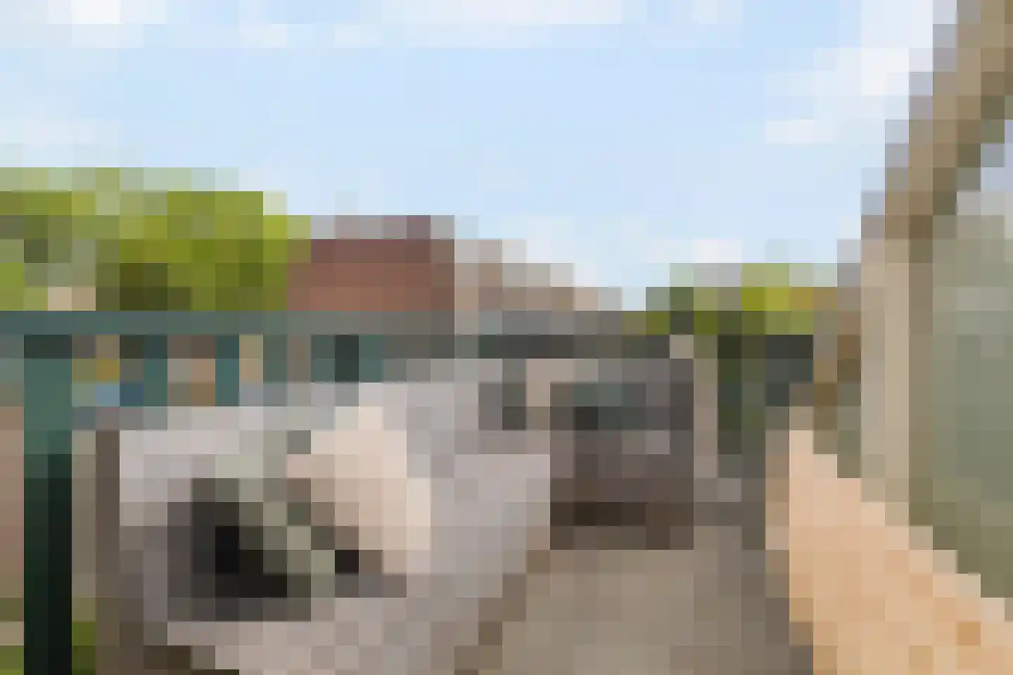 Reigersweide 119 Weesp thumbnail 4