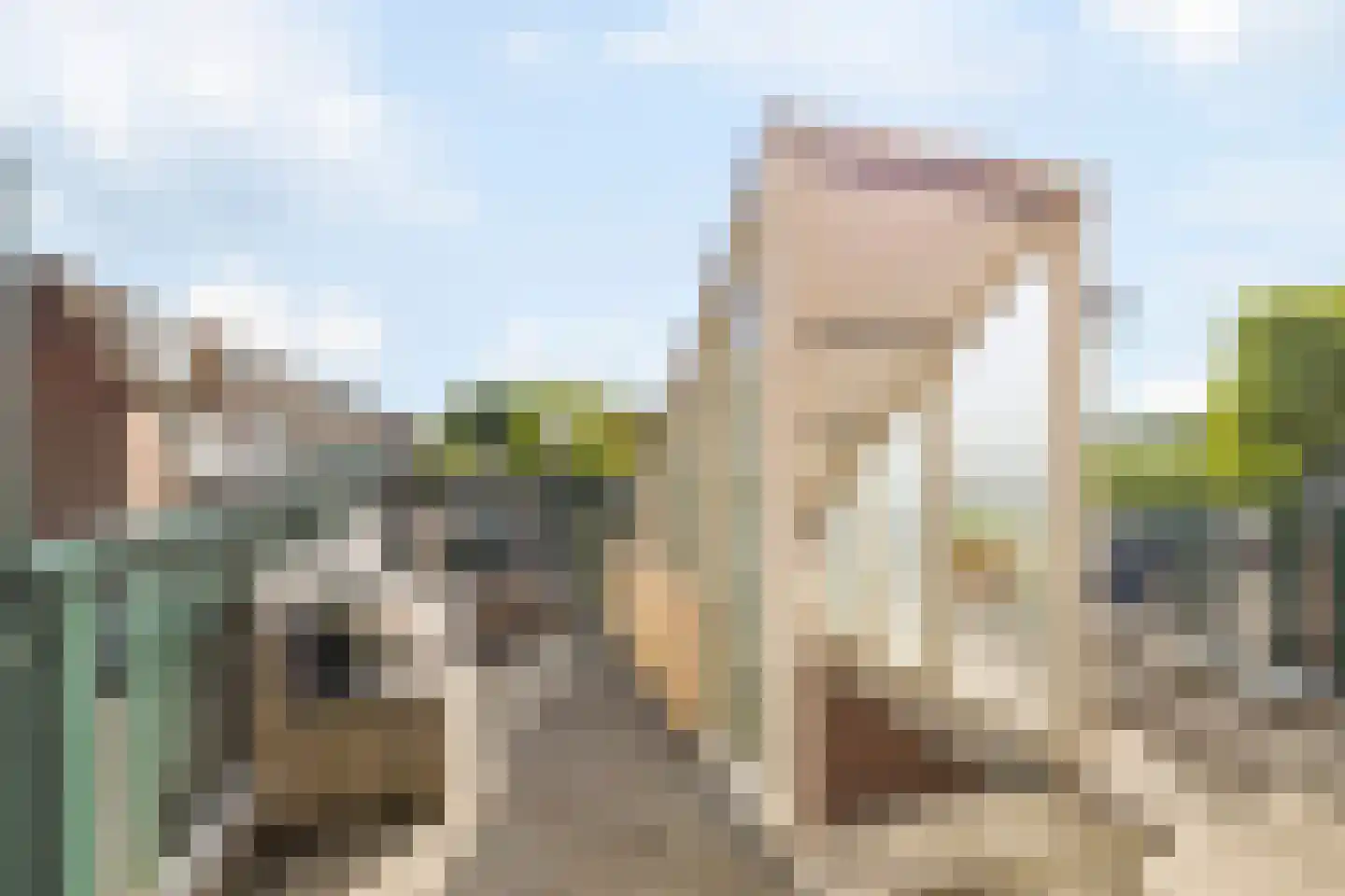 Reigersweide 119 Weesp thumbnail 6