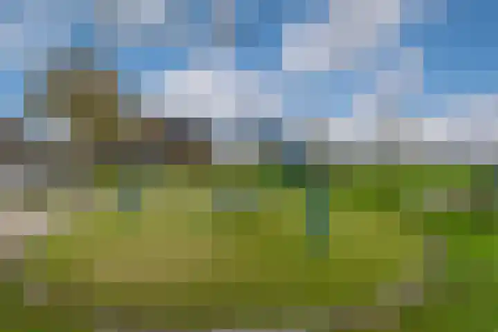 Reigersweide 148 Weesp thumbnail 28