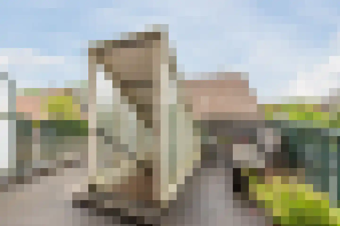 Reigersweide 160 Weesp thumbnail 22