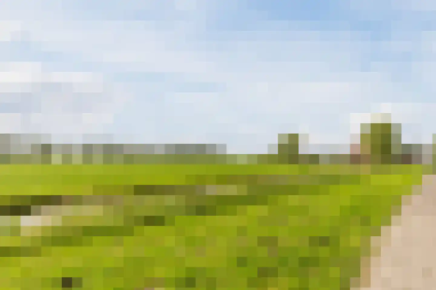 Reigersweide 160 Weesp thumbnail 24