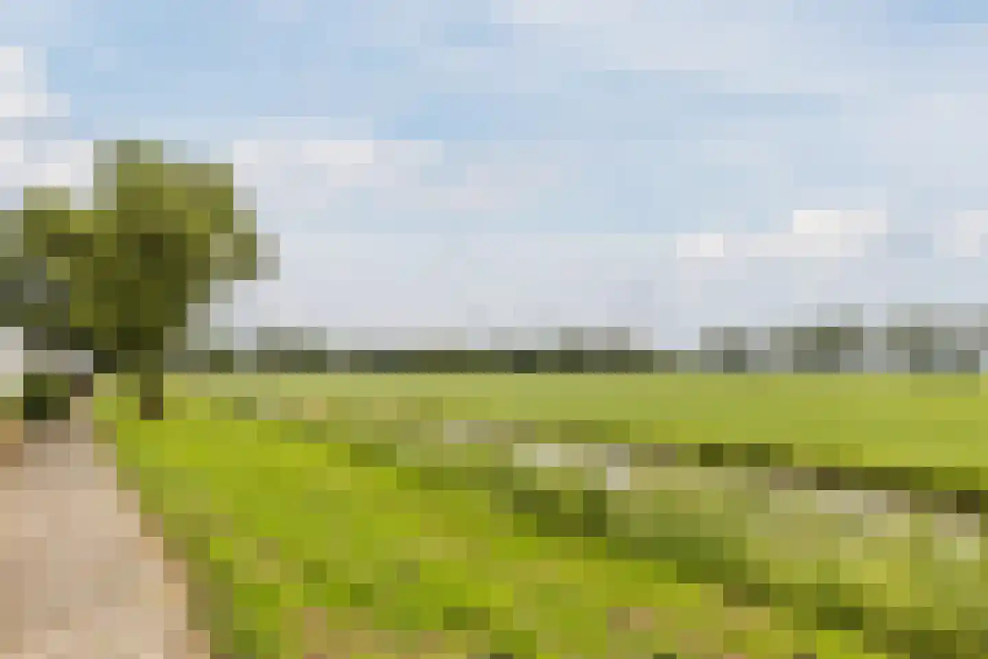 Reigersweide 160 Weesp thumbnail 25