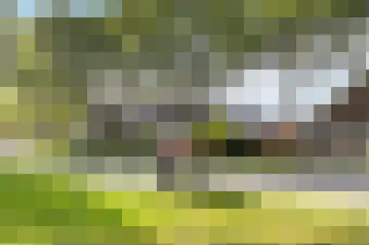 Reigersweide 161 Weesp thumbnail 20