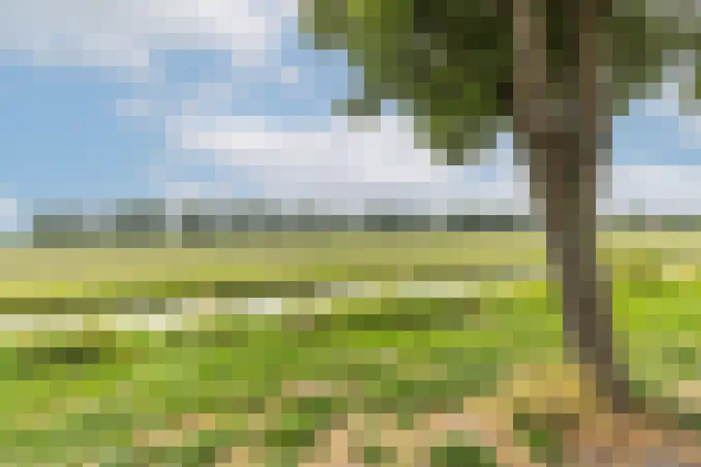 Reigersweide 162 Weesp thumbnail 32