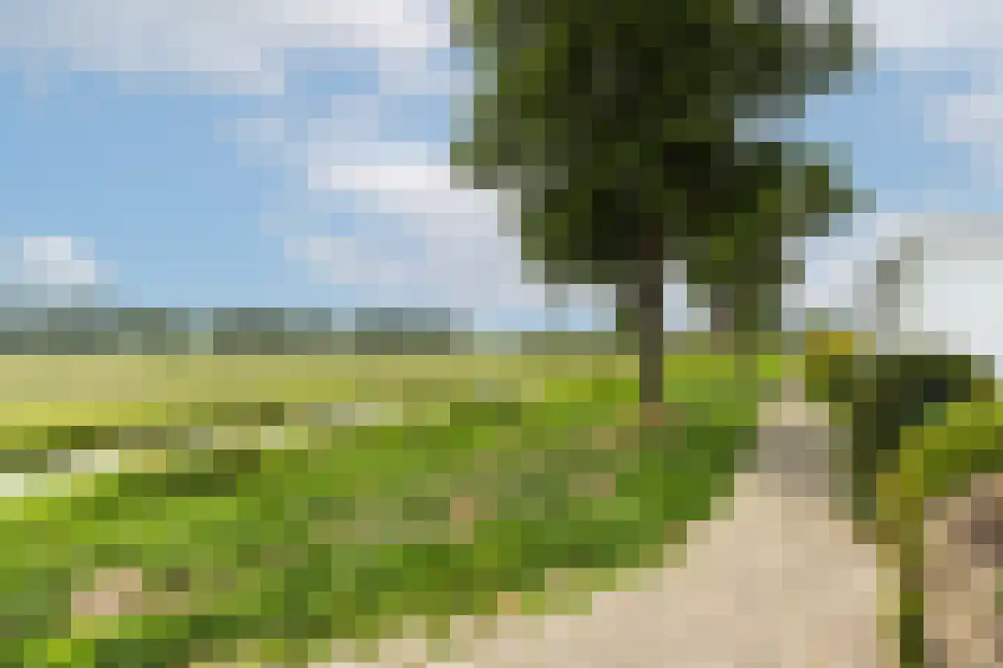 Reigersweide 162 Weesp thumbnail 33