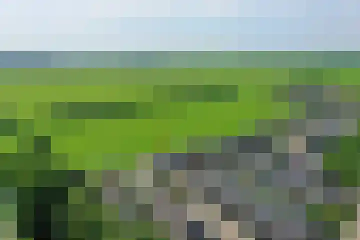 Reigersweide 176 Weesp thumbnail 27