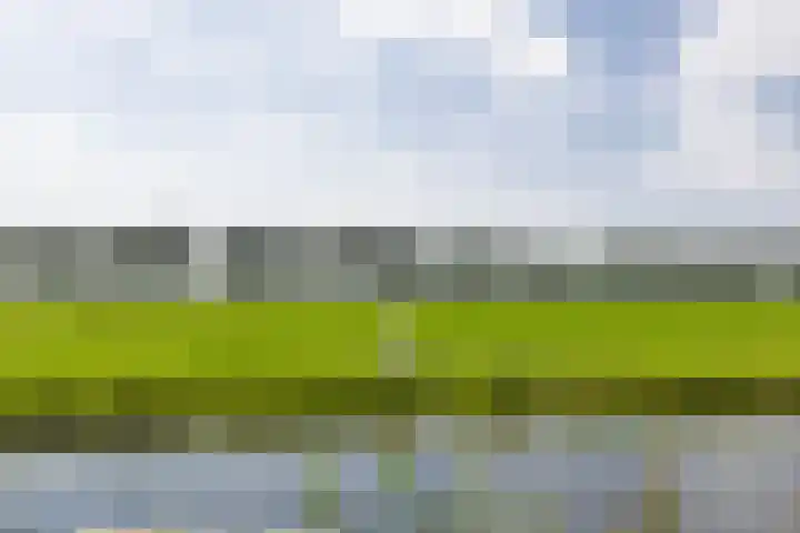 Reigersweide 176 Weesp thumbnail 28