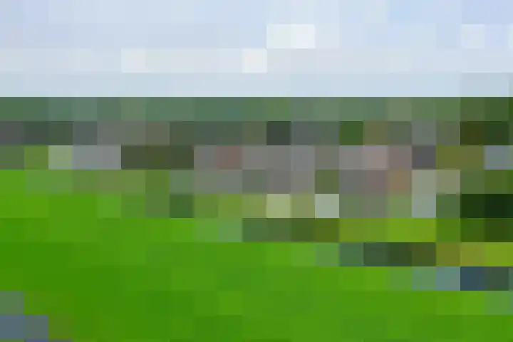 Reigersweide 176 Weesp thumbnail 29