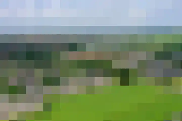 Reigersweide 176 Weesp thumbnail 31