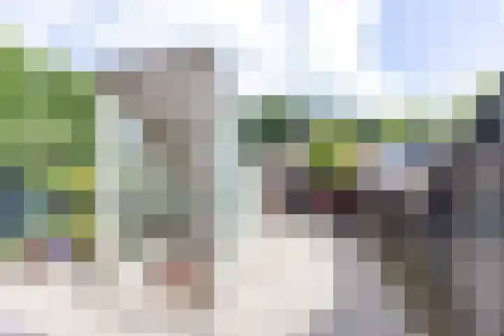 Reigersweide 189 Weesp thumbnail 20