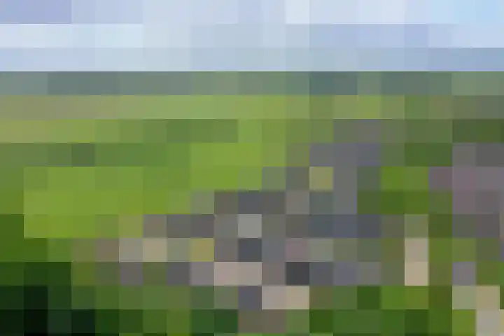 Reigersweide 189 Weesp thumbnail 5