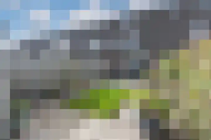 Reigersweide 65 Weesp thumbnail 32