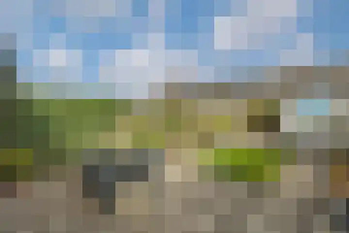 Reigersweide 65 Weesp thumbnail 33
